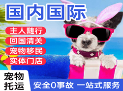 白山长白山机场空运国际宠物托运 【国